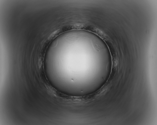X0000086261204200704191856