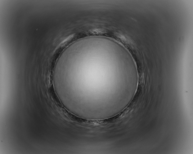 X0000086261205200704191856