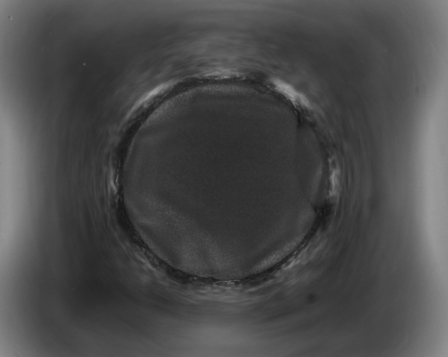 X0000086261206200704191856