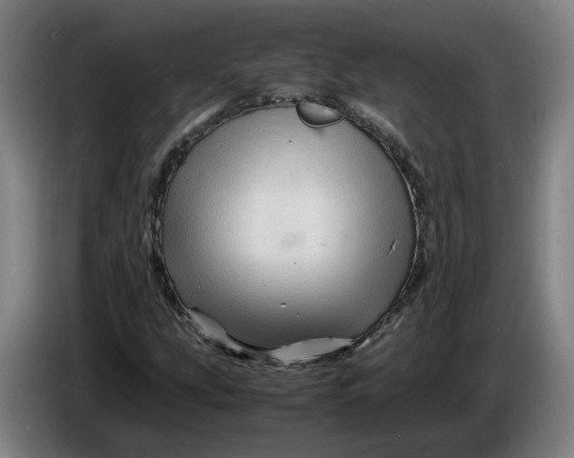 X0000086261207200704191856