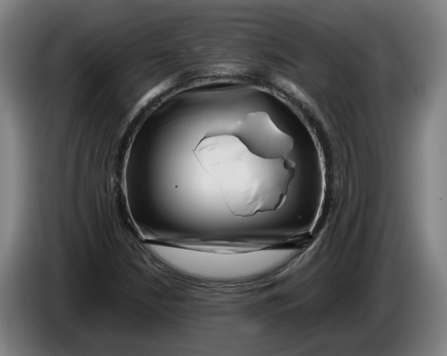X0000086261210200704191856