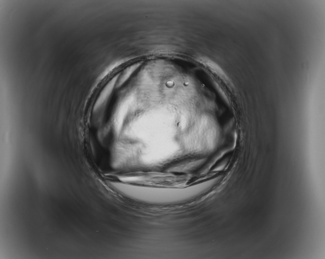X0000086261212200704191856
