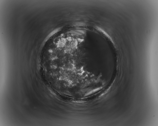 X0000086261213200704191856