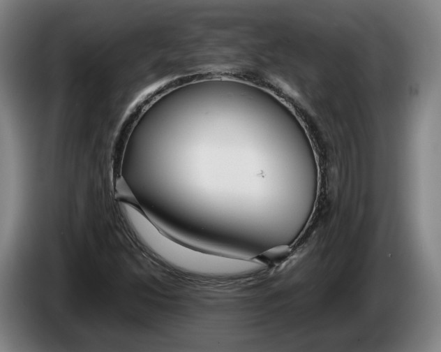 X0000086261214200704191856