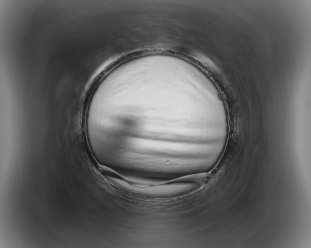 X0000086261216200704191856
