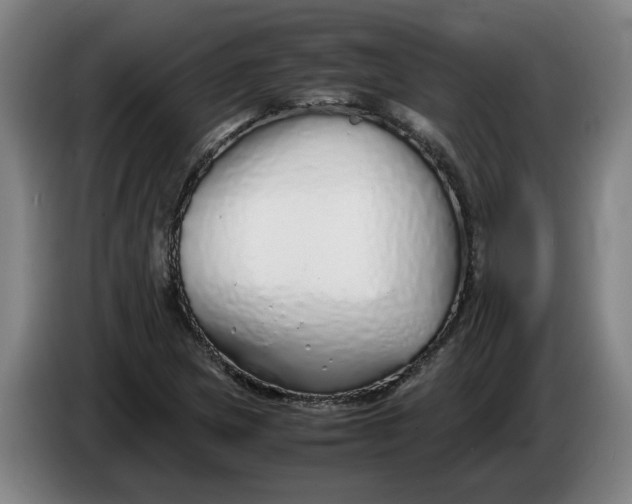 X0000086261217200704191856