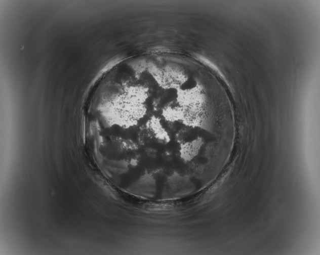 X0000086261219200704191856