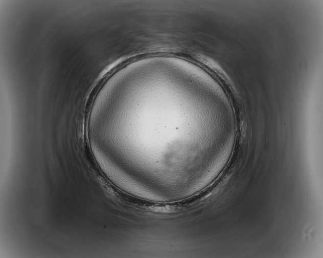 X0000086261220200704191856