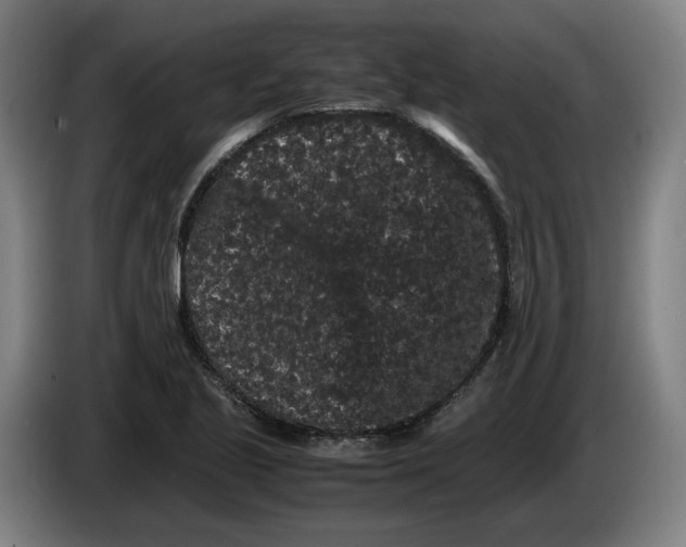 X0000086261221200704191856