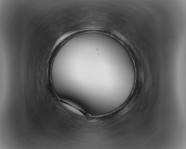 X0000086261222200704191856