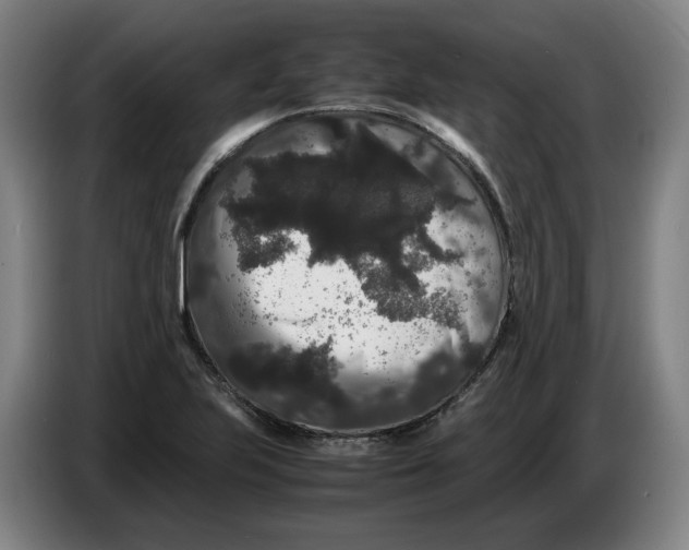 X0000086261223200704191856
