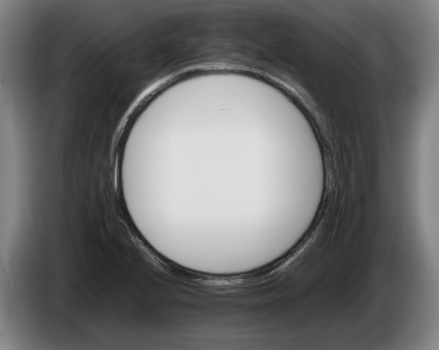 X0000086261224200704191857