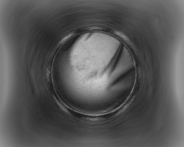 X0000086261225200704191857
