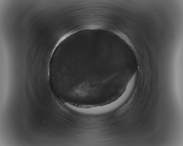X0000086261226200704191857