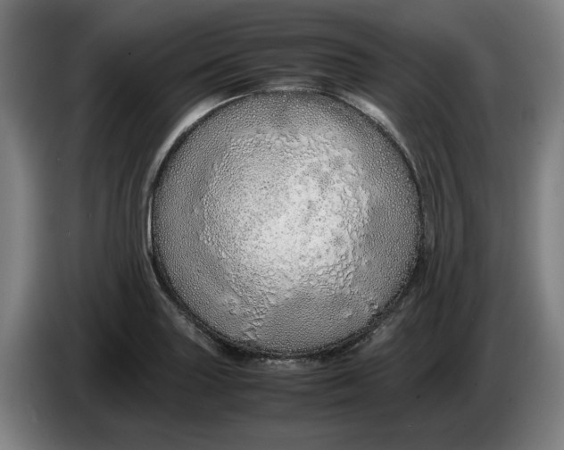 X0000086261227200704191857