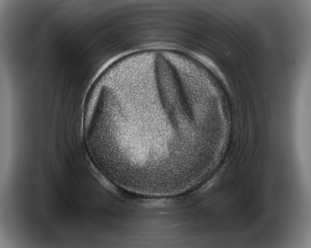 X0000086261228200704191857