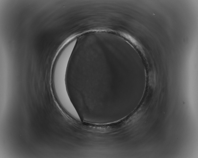 X0000086261229200704191857