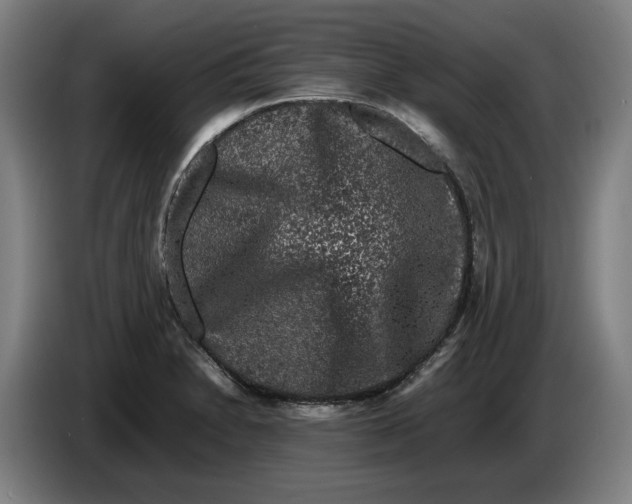 X0000086261230200704191857