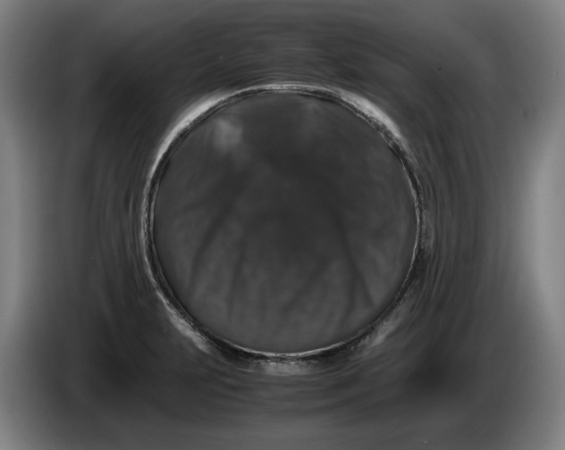 X0000086261231200704191857