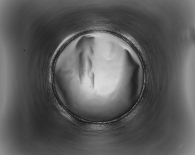 X0000086261232200704191857