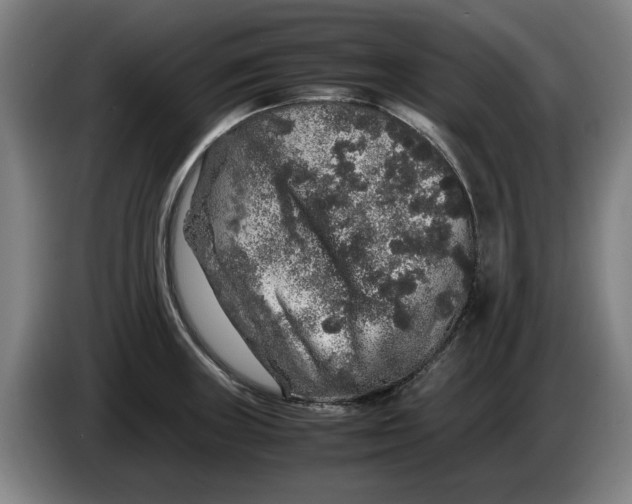 X0000086261235200704191857