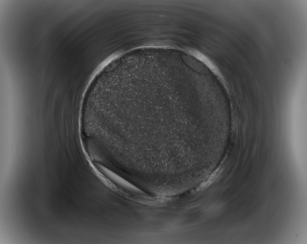 X0000086261237200704191857