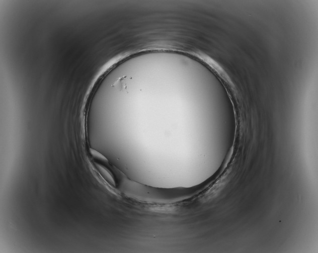 X0000086261238200704191857