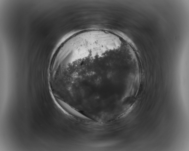 X0000086261239200704191857