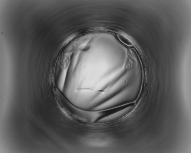 X0000086261241200704191857