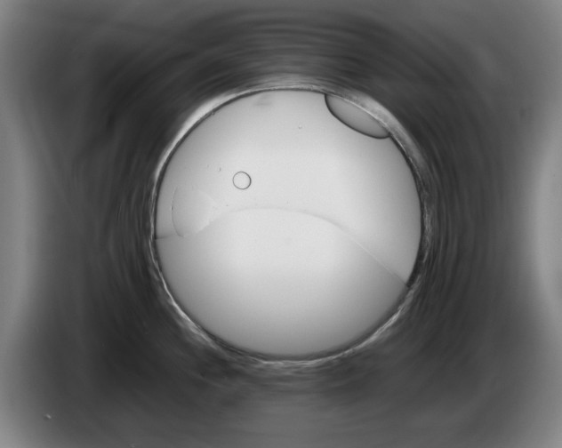 X0000086261244200704191857