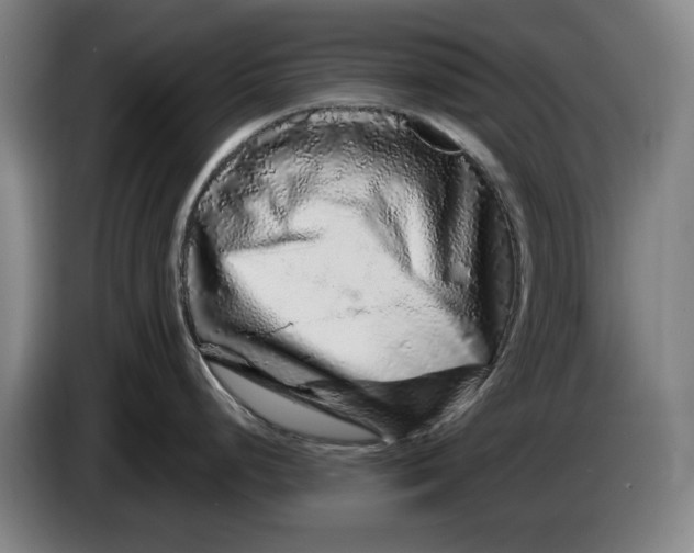 X0000086261248200704191857