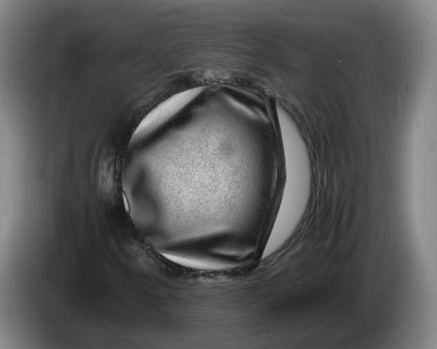 X0000086261250200704191856