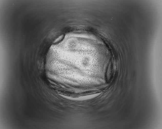 X0000086261251200704191856