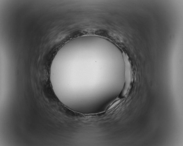 X0000086261253200704191856