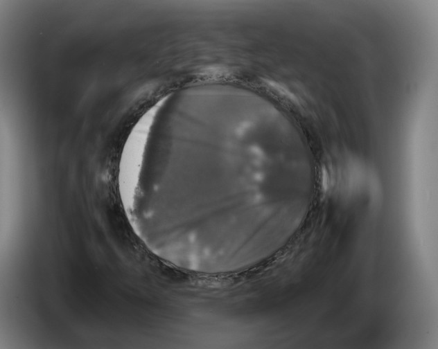 X0000086261254200704191856