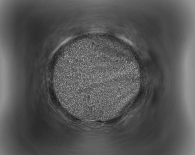 X0000086261255200704191856