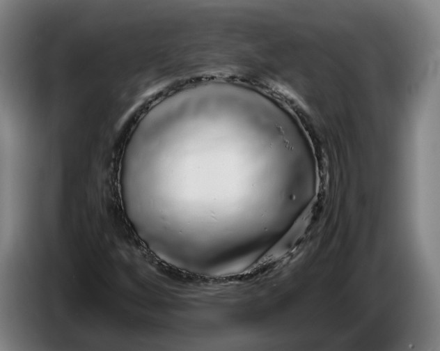 X0000086261256200704191856