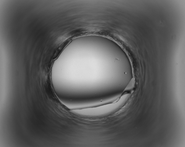 X0000086261257200704191856