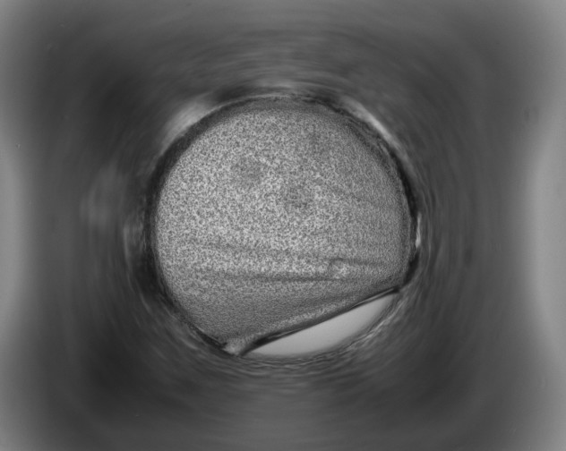 X0000086261259200704191856