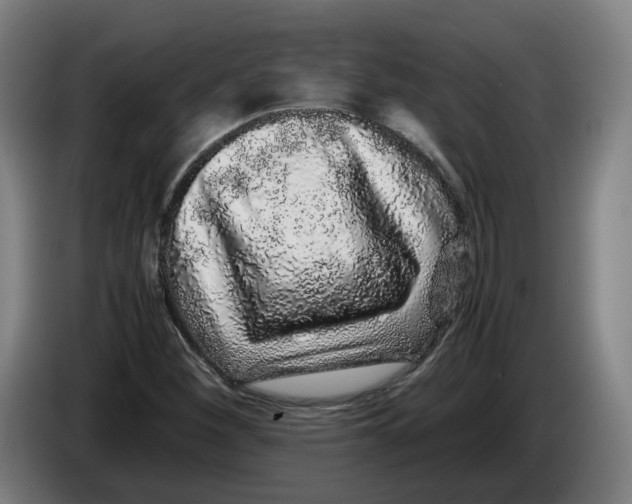 X0000086261260200704191856
