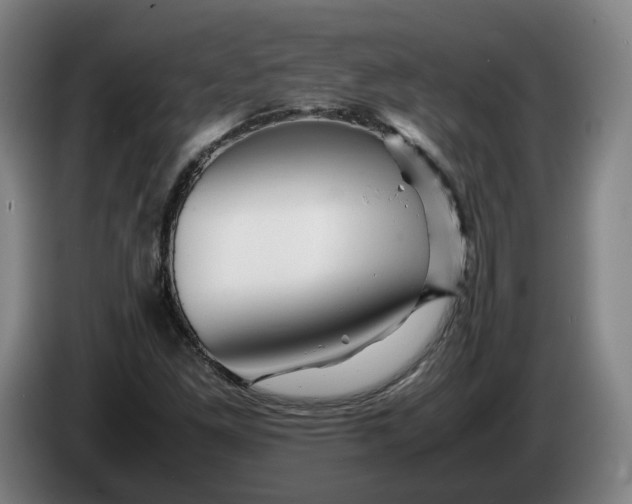 X0000086261261200704191856