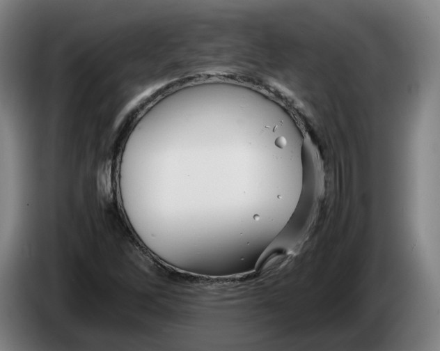 X0000086261262200704191856