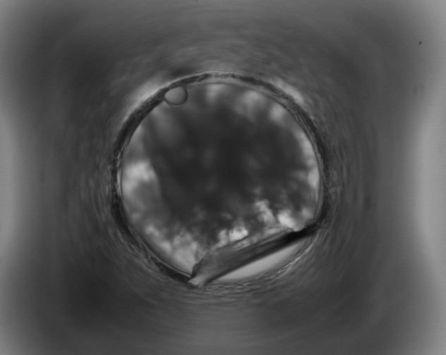 X0000086261263200704191856