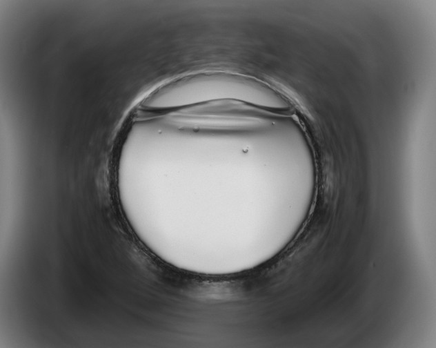 X0000086261264200704191856