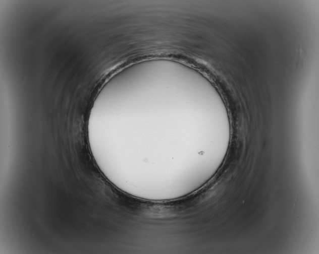 X0000086261265200704191856
