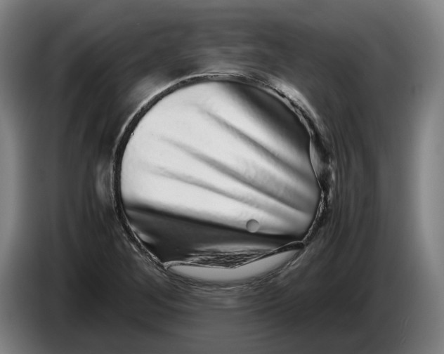 X0000086261268200704191856