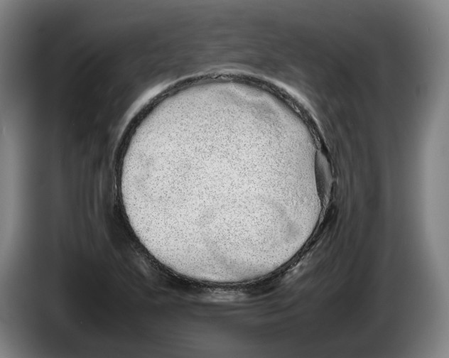 X0000086261271200704191856