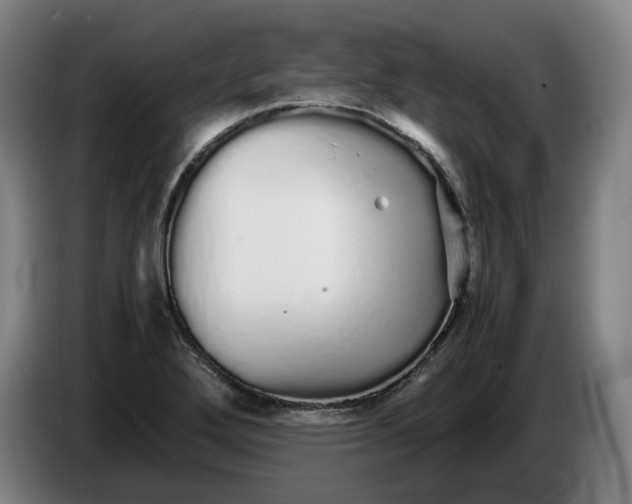 X0000086261272200704191856