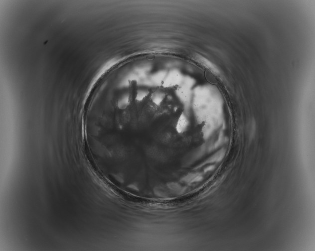 X0000086261275200704191856