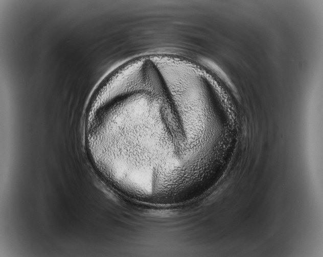 X0000086261276200704191856